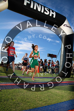 DS1-17_08_08-0340