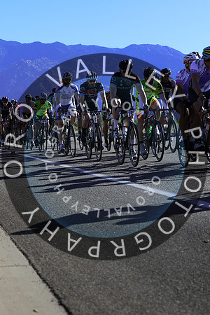 2015 El Tour  19
