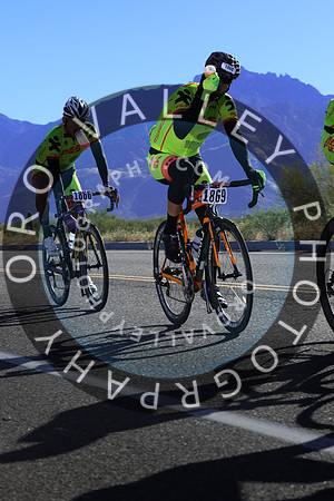 2015 El Tour  7