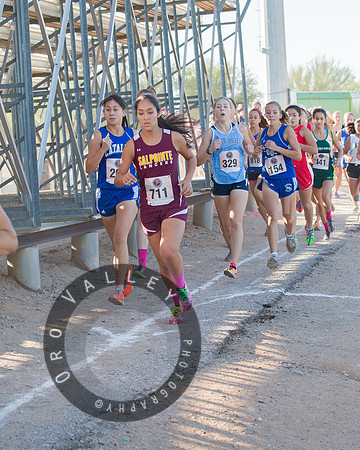 Rattler Invitational 2013 | Marana High School | Cross Country XC