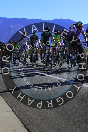 2015 El Tour  18