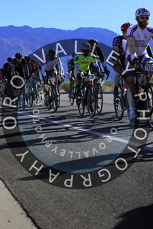 2015 El Tour  22