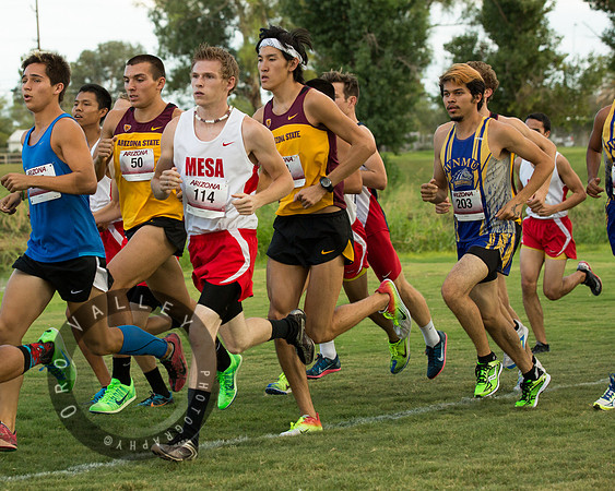 Mesa Community College | Cross Country