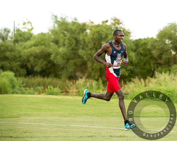 University of Arizona | Cross Country