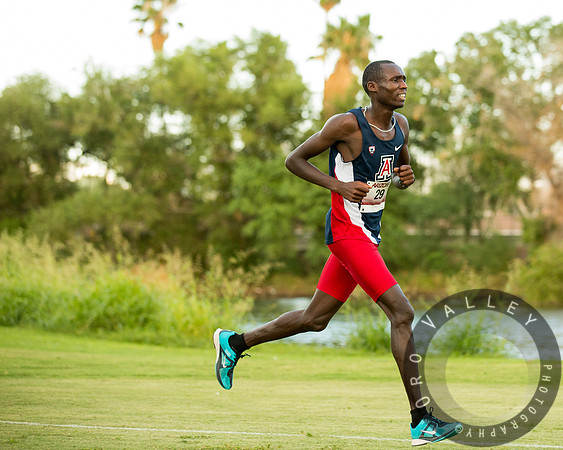 University of Arizona | Cross Country