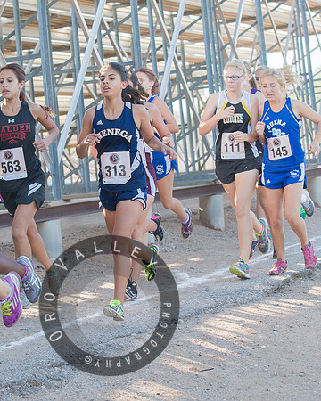 Rattler Invitational 2013 | Marana High School | Cross Country XC