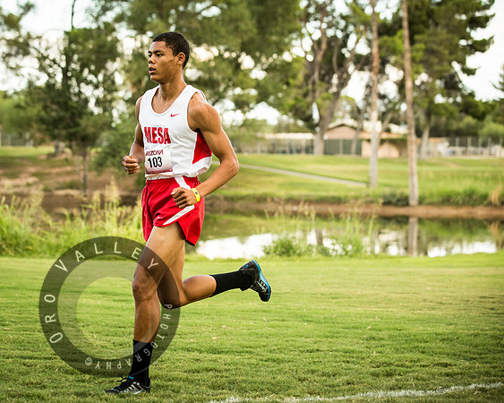 Mesa Community College | Cross Country