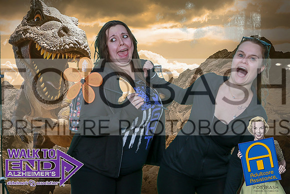 181110_End ALZ_Fotobash_0045