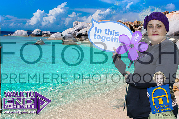 181110_End ALZ_Fotobash_0052