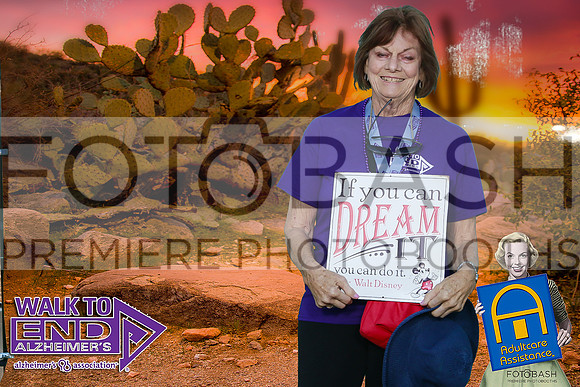 181110_End ALZ_Fotobash_0059