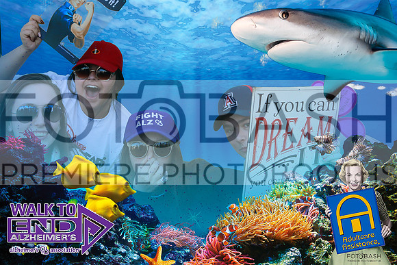 181110_End ALZ_Fotobash_0062