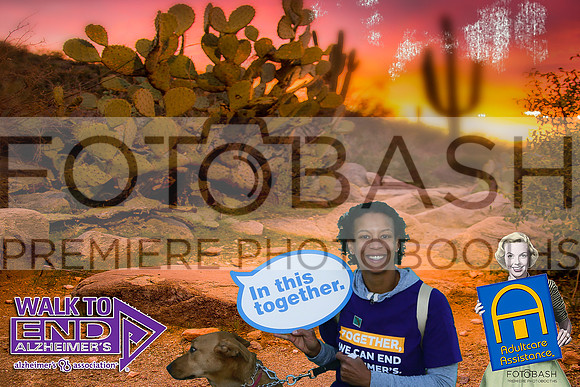 181110_End ALZ_Fotobash_0068