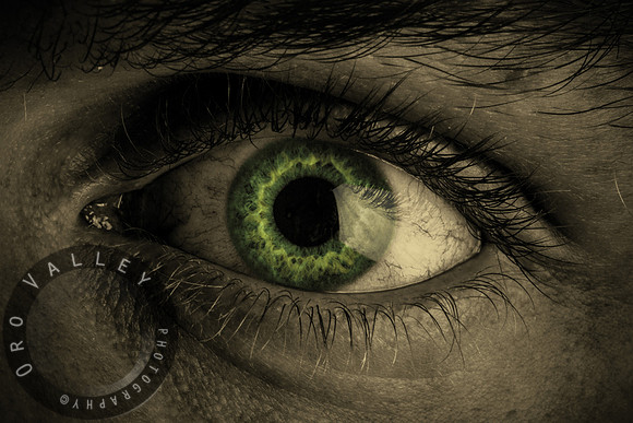eye