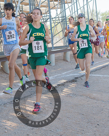 Rattler Invitational 2013 | Marana High School | Cross Country XC