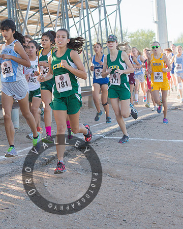 Rattler Invitational 2013 | Marana High School | Cross Country XC